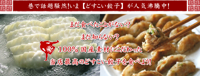 お取り寄せグルメ　餃子　ギョーザ　一番うまい餃子　日本一うまい餃子　流山名物
