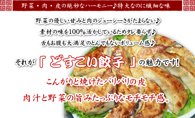 お取り寄せ餃子ランキング上位の美味しい餃子「どすこい餃子」冷凍でお届けします。冷凍餃子。国産素材１００％。