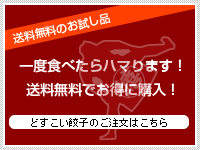 お取り寄せグルメ　餃子　ギョーザ　送料無料