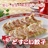 大人気のどすこい大将のどすこい餃子。お取り寄せグルメ　餃子　ギョーザ　送料当方負担